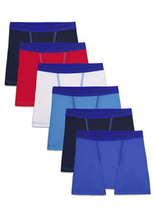 Fruit of the Loom Toddler Boys (2T-5T) Basic Underwear in Boys Basic  Underwear 