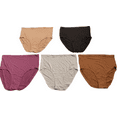 thumbnail image 1 of Fruit of the Loom Women's 5 Pack Tag Free Smoothing Brief Panties, Size 9, 1 of 3