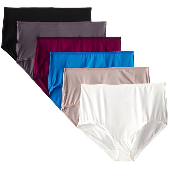 Fruit of the Loom Women's 6 Pack Microfiber Brief Panties,Assorted,10