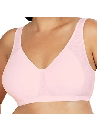 Fruit of the Loom Women's Lightly Lined Wire-Free Bra, Bittersweet Pink,  34B : : Clothing, Shoes & Accessories