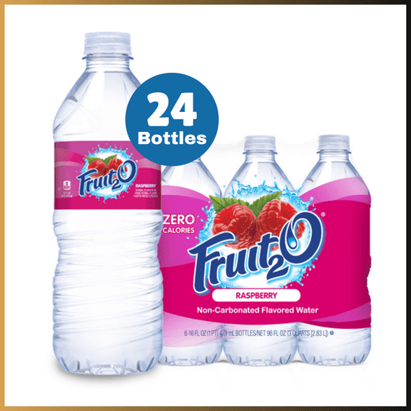 Fruit2O Raspberry Flavored Water 16.9 Fl Oz Bottles 24 Pack