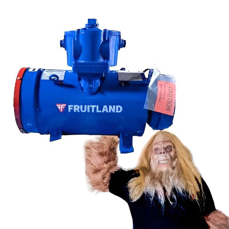 Fruitland 870 Rebuilt Vacuum Pump