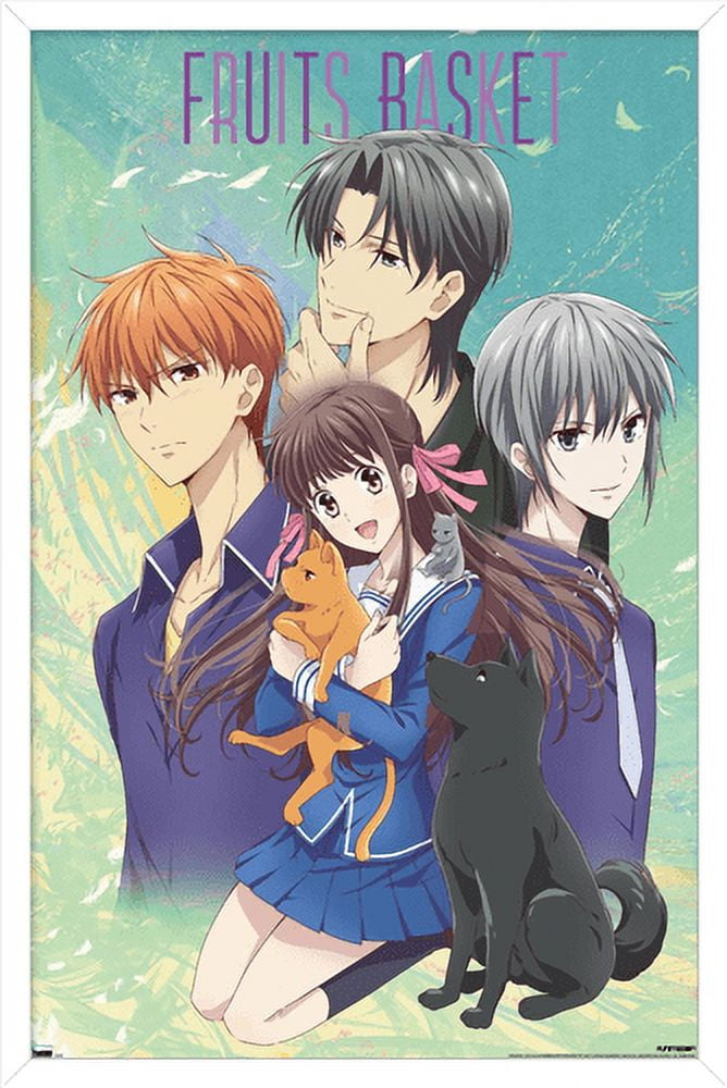 Fruits Basket - Art Work Wall Poster, 14.725