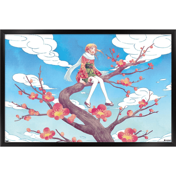 Fruits Basket - Kisa Soma Wall Poster, 14.725" x 22.375" Framed