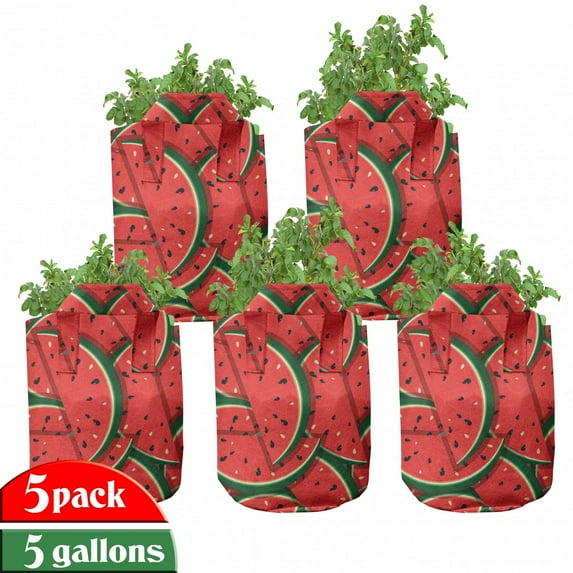 Fruits Grow Bags 5-Pack, Yummy Watermelon Slices, Heavyduty Fabric Pots with Handles for Plants, 2 Sizes, Red Hunter Green, by Ambesonne