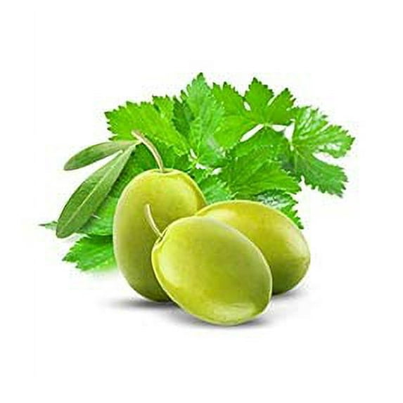 Fruits & Passion [Cucina - Coriander and Olive Tree Concentrated Dish Soap Detergent, (16.9 fl oz) - Gentle, Vegan Kitchen Liquid Dish Wash