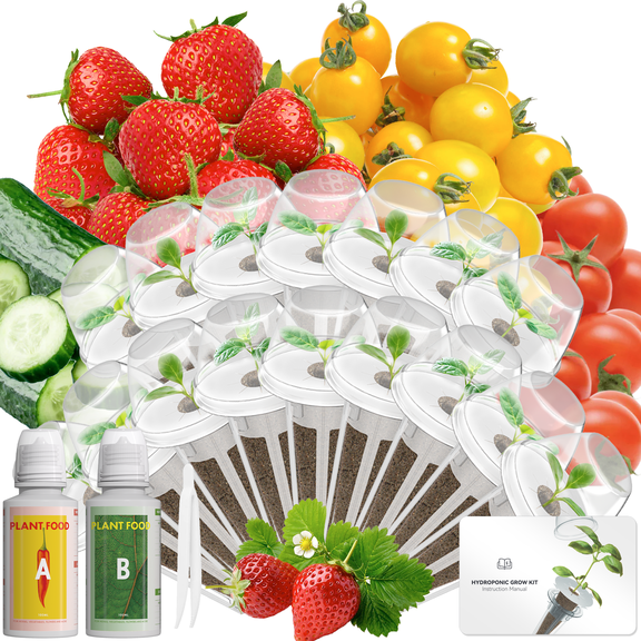 Fruits Seed Pod Kit for AeroGarden, Ahopegarden, iDoo, GARDENCUBE, MUFGA with Strawberry, Cucumber, Red/Golden Cherry Tomato, Compatible with All Indoor Hydroponics Growing System, 16-Pod