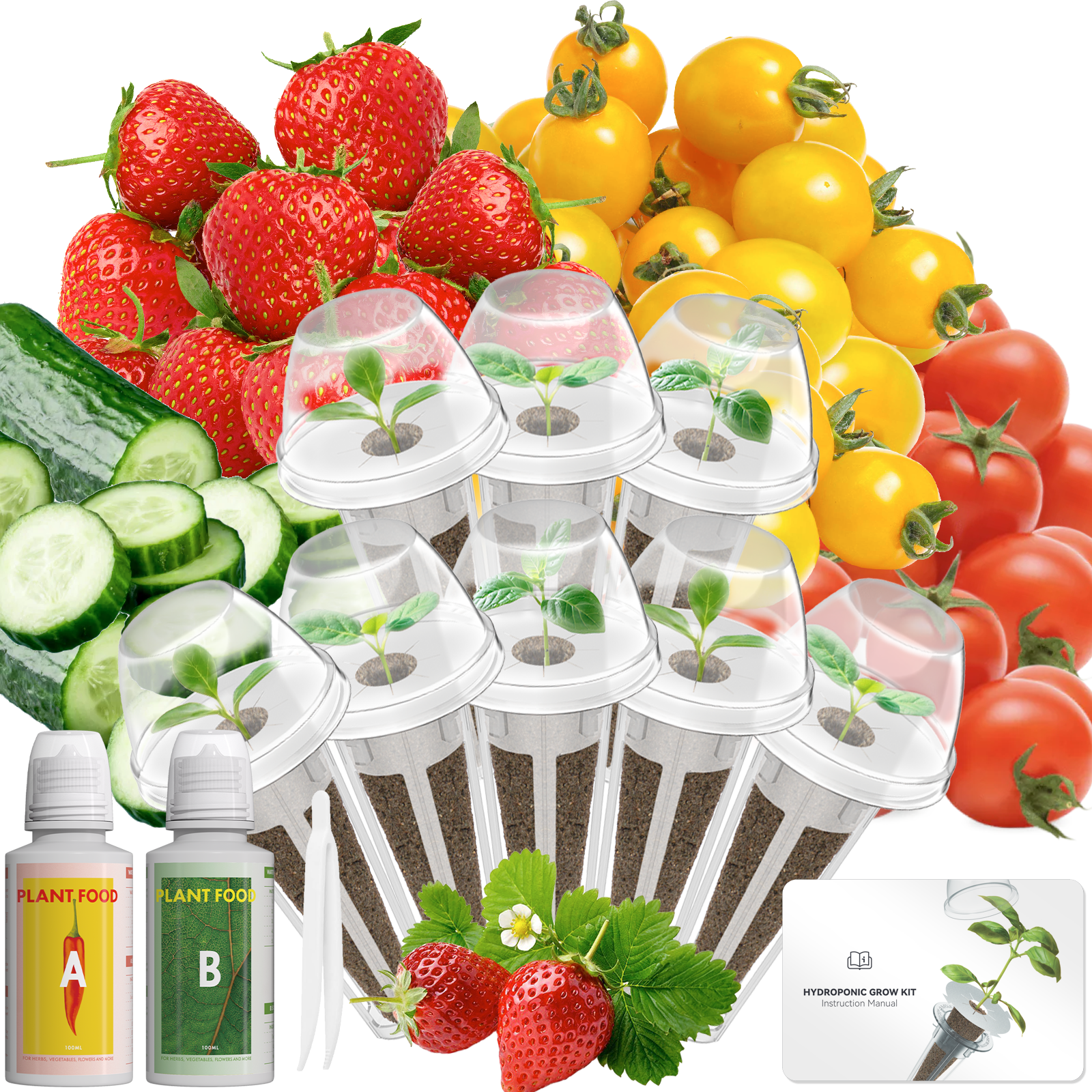 Aerogarden Seed Kits