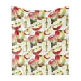 thumbnail image 1 of Fruits Soft Flannel Fleece Blanket, Halved and Quartered Organic McIntosh Apples Gourmet Food Healthy Life, Cozy Plush for Indoor and Outdoor Use, 60" x 80", Ivory Red Reseda Green, by Ambesonne, 1 of 5