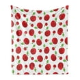 thumbnail image 1 of Fruits Soft Flannel Fleece Throw Blanket, Vivid Colored Cartoon Style Ripe Red Apples Vitamins Taste Healthy Food, Cozy Plush for Indoor and Outdoor Use, 60" x 80", Red Green White, by Ambesonne, 1 of 5