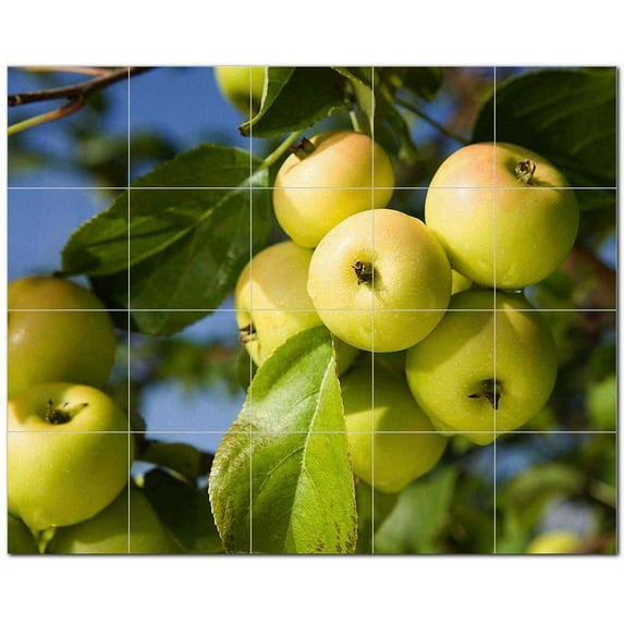 Fruits Vegetables Ceramic Tile Mural Kitchen Backsplash Bathroom Shower, 405181