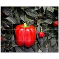 thumbnail image 1 of Fruits Vegetables Ceramic Tile Mural Kitchen Backsplash Bathroom Shower, 405185, 1 of 3