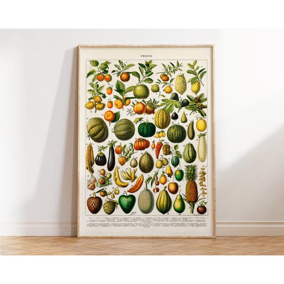 Fruits Vegetables Illustration Decorative Wall Wall Art Unframed Paper Print