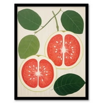 Fruity Guava Orange Green Kitchen Art Print Framed Poster Wall Decor 12x16 inch