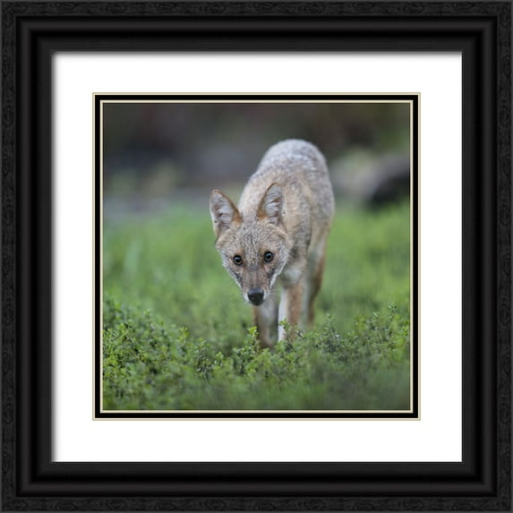 Fruman, Yevgeny 12x12 Black Ornate Wood Framed with Double Matting Museum Art Print Titled - Untitled