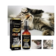 Ringworm Treatment Cats
