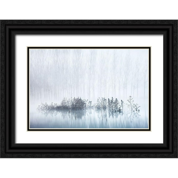 Frutos, David 24x17 Black Ornate Wood Framed with Double Matting Museum Art Print Titled - Cold A Foggy Morning In The Swamp
