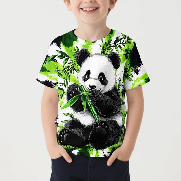 Frwgonr Little Boys T-shirts Short Sleeve Tee Tops Casual Graphic Clothes Crew Neck Shirts 3-15 Years, Multicolor