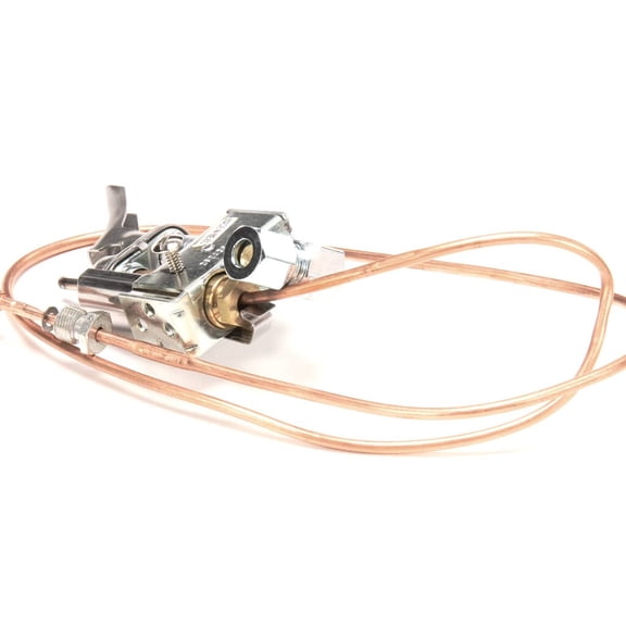 Frymaster 8068689SP Pilot Assy Lp