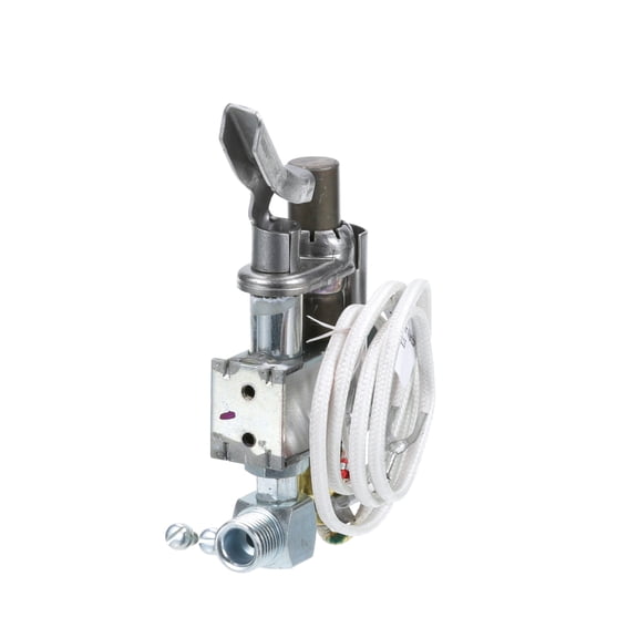 Frymaster - 810-2071 - Pilot Assembly N/Gas .024 Orifice