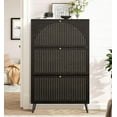 thumbnail image 1 of Fsbecl Freestanding Narrow Shoe Cabinet with 3 Flip Drawers for Entryway, Black, 1 of 8