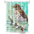 thumbnail image 1 of Fsddascl Brown Bird Shower Curtain Set - 54" x 78" Washable Bathtub Curtain with 12 Hooks, Music Farmhouse Animals Country Teal Waterproof Fabric Stall Shower Curtains for Bathroom/Bathtub Décor, 1 of 6