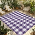 thumbnail image 1 of Fsddascl Purple Checkered Outdoor Rug for Patio/Deck/Porch, Non-Slip Large Area Rug 5 x 8 Ft, Farmhouse Buffalo Plaid Indoor Outdoor Rugs Washable Area Rugs, Reversible Camping Rug Carpet Runner, 1 of 5