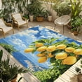 thumbnail image 1 of Fsddascl Yellow Lemon Outdoor Rug for Patio/Deck/Porch, Non-Slip Large Area Rug 4 x 6 Ft, Summer Blue Sky Coastal Scenery Indoor Outdoor Rugs Washable Area Rugs, Reversible Camping Rug Carpet Runner, 1 of 5