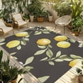 thumbnail image 1 of Fsddascl Yellow Summer Lemon Outdoor Rug for Patio/Deck/Porch, Non-Slip Large Area Rug 5 x 8 Ft, Farmhouse Botanical Grey Indoor Outdoor Rugs Washable Area Rugs, Reversible Camping Rug Carpet Runner, 1 of 5