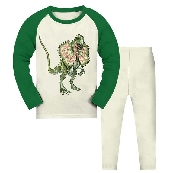 Fshinging Outfits For Toddler Little Boys Pajamas Dinosaur Cotton 224 Piece Train Sleepwear Fall Winter Clothes Sets