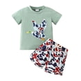 thumbnail image 1 of Fsqjgq Baby Boys Clothes Toddler Boy Outfits Cute Animal Embroidery Short Sleeved Tee Tops and Shorts Two Piece Children's Cotton Clothing Sets, 1 of 9