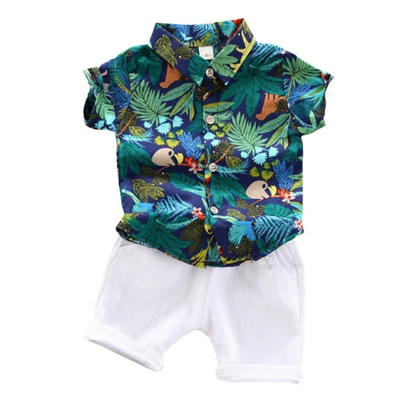 Fsqjgq Baby Boys Summer Clothes Toddler Baby Boys Hawaiian Outfits Tropical Print Button Down Shirt and Beach Shorts 2 Piece Clothing Sets 6-12 Months