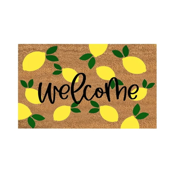 Fsqjgq Spring Summer Doormats Fruit Pattern Polyester Indoor and Outdoor Welcome Mat Non Slip Entry Rug Floor Mats,16"x 24" 1 Piece