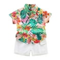 thumbnail image 1 of Fsqjgq Toddler Baby Boy Summer Clothes Hawaiian Outfit Baby Outfits Short Sleeve T-shirt Top & Shorts Set 12 Months-4 Years old Shorts Set 3-4 Years, 1 of 5