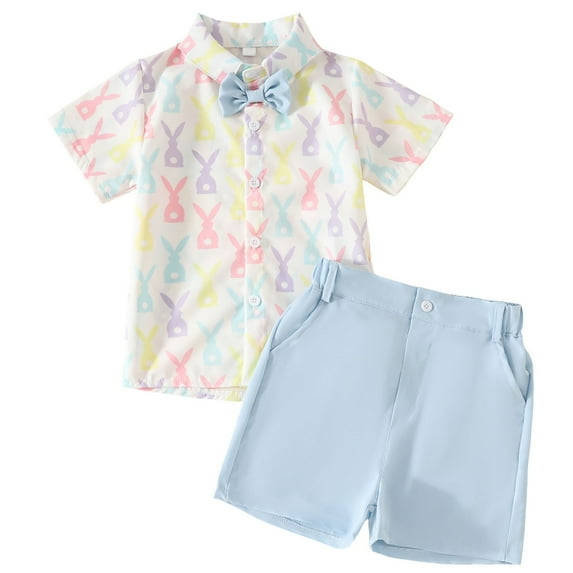 Fsqjgq Toddler Baby Boys Clothes Baby Easter Outfits New Short Sleeved Rabbit Carrot Print Casual Shorts Suit Summer Shirts Clothing Sets 18M