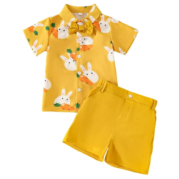 Fsqjgq Toddler Baby Boys Clothes Baby Easter Outfits New Short Sleeved Rabbit Carrot Print Casual Shorts Suit Summer Shirts Clothing Sets 24M