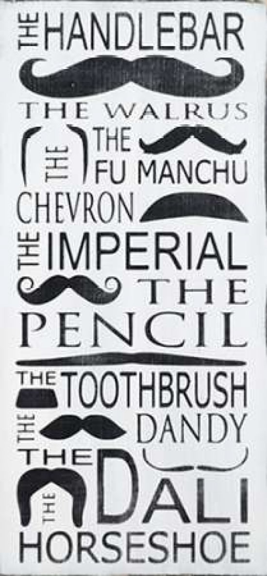 Fu Manchu Canvas Art - Holly Stadler (24 x 48)