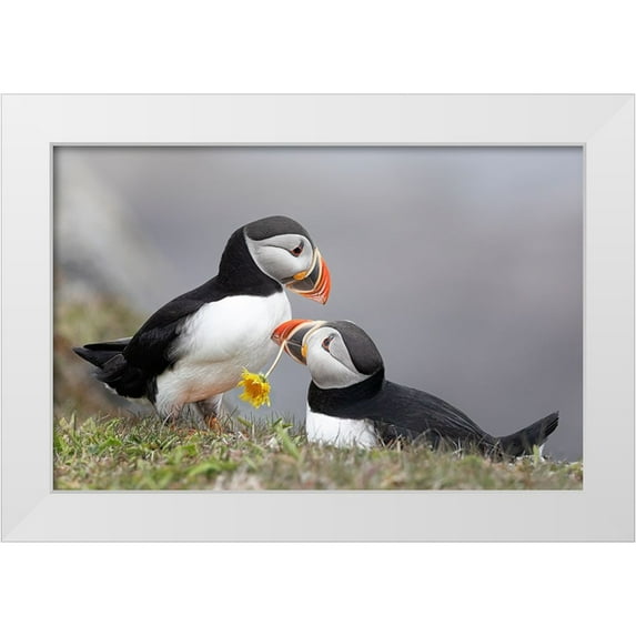 Fu, Molly 14x11 White Modern Wood Framed Museum Art Print Titled - Propose