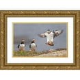 thumbnail image 1 of Fu, Molly 24x16 Gold Ornate Wood Framed with Double Matting Museum Art Print Titled - I Am Coming, 1 of 4