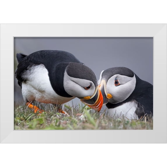 Fu, Molly 24x17 White Modern Wood Framed Museum Art Print Titled - Whisper
