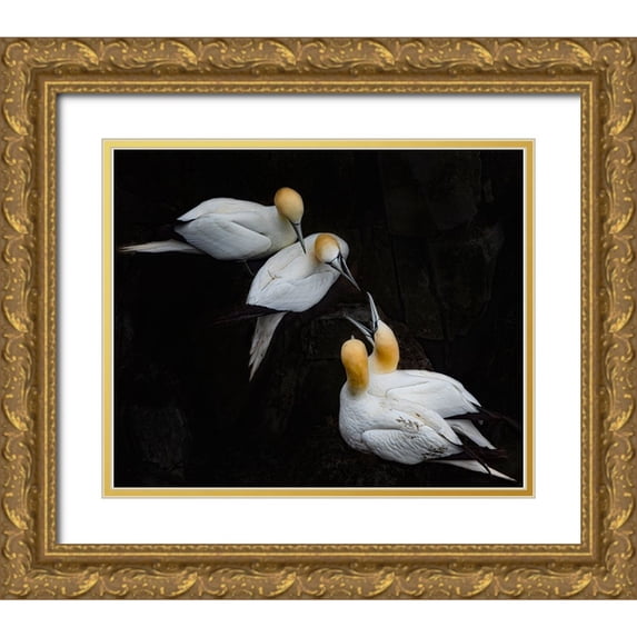Fu, Molly 31x26 Gold Ornate Wood Framed with Double Matting Museum Art Print Titled - Hi Neighbor