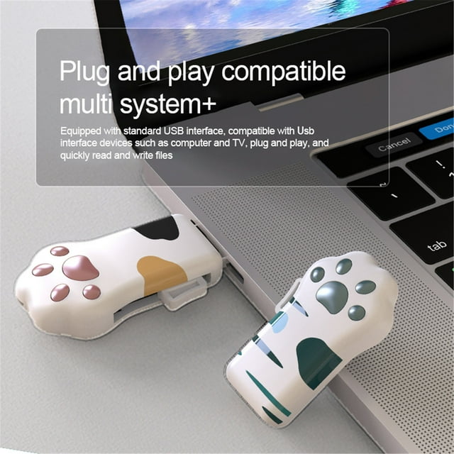 FuChenYu Flash Drive Memory for Pictures Proof Set Run 256MB Flash
