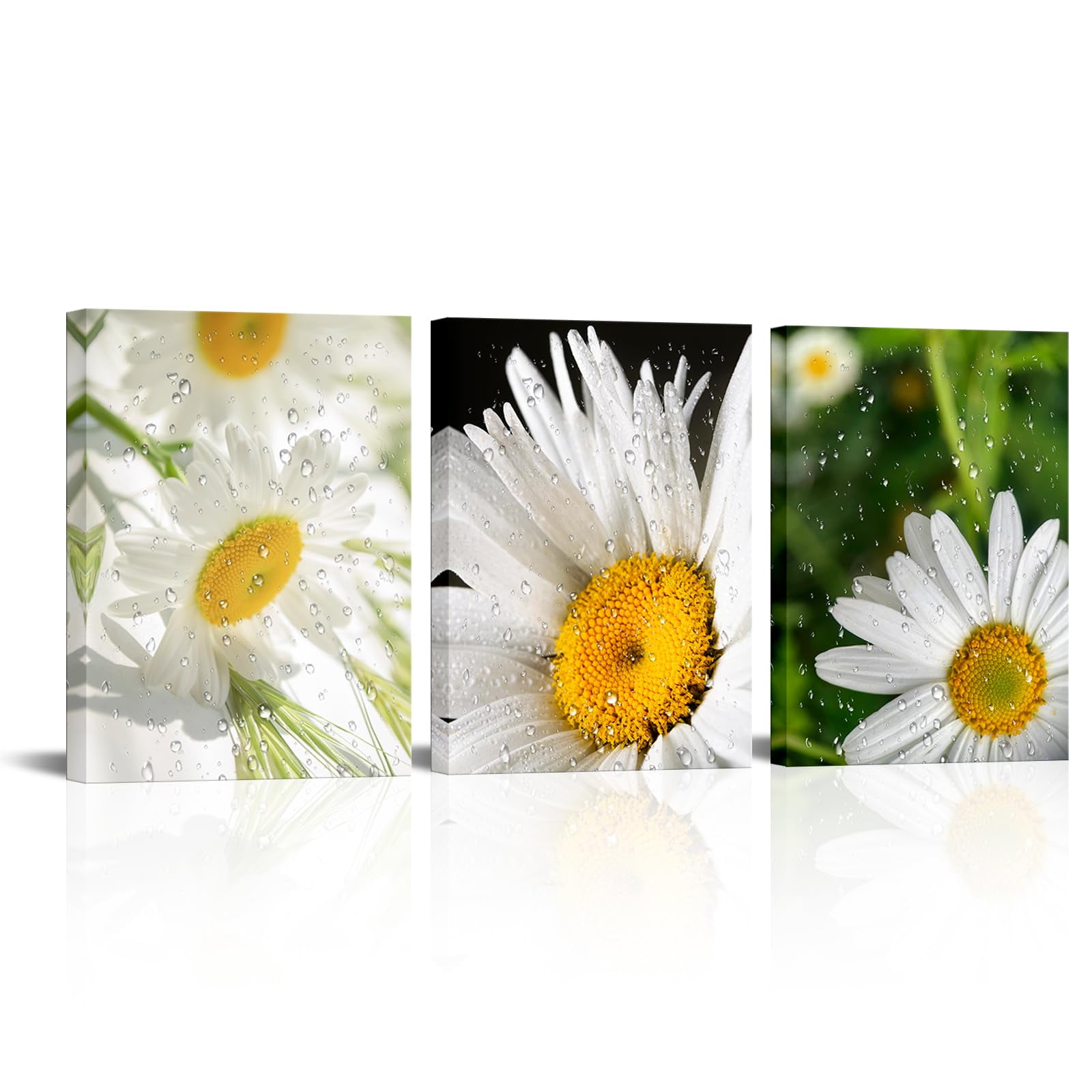 FuShvre Daisy Flower Canvas AIF4 Wall Art White Floral with Water Drop
