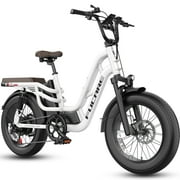 Fucare Libra 750W Electric Bike for Adults 48V  EBike with LCD Color Display 20"*4.0" All-Terrain Fat Tire Electric Bicycles UL 2849 Certificate NumberUL-US-2350603-0