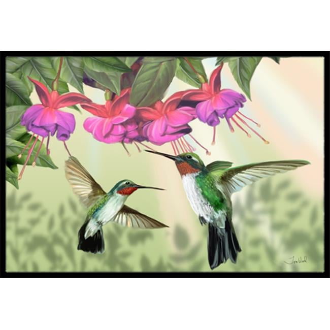 Fuchsia And Hummingbirds Indoor & Outdoor Mat, 18 x 27 in. - Walmart.com