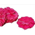 thumbnail image 1 of Fuchsia Capia Flowers Bulk Flat Carnation Capia Base 48 Pieces, 1 of 1