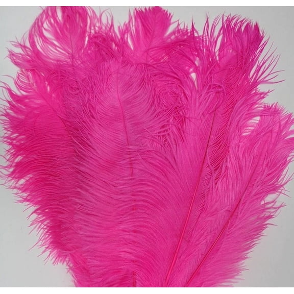 Fuchsia Hot Pink Ostrich feathers 8-12 inch size per Six (6)