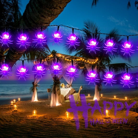 Fuchsun Halloween Spider Lights, 30 LEDs with Battery Powered & Timer 3D Spider Fairy Lights String, Purple Waterproof String Light for Christmas Halloween Thanksgiving Indoor Outdoor Decorations