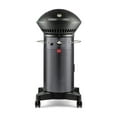thumbnail image 1 of Fuego 2-Burner Black Propane Outdoor Gas Grill with Grilling Surface, 1 of 8