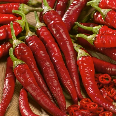 Fuego Trail F1 Hybrid Hot Pepper Seeds - 300 Mg Packet ~40 Seeds - Non-GMO, F1 Hybrid - Vegetable Garden - Capsicum annuum